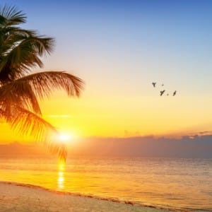 Sarasota Drug and Alcohol Detox centers