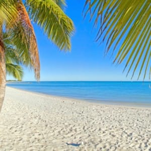 Drug and Alcohol Rehab Wellington FL