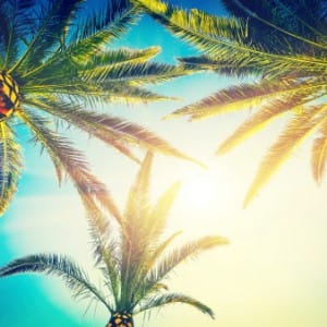 Delray Beach rehab provides some sunshine