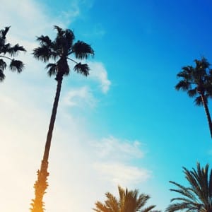 Drug And Alcohol Detox For Residents Of Palm Bay, Florida (FL)