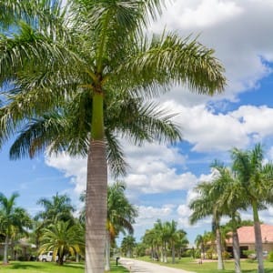 Beautiful drug and alcohol detox centers in Cape Coral FL 