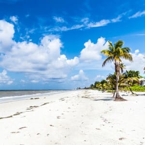 Drug rehab Fort Myers is pleasant and sunny, too.