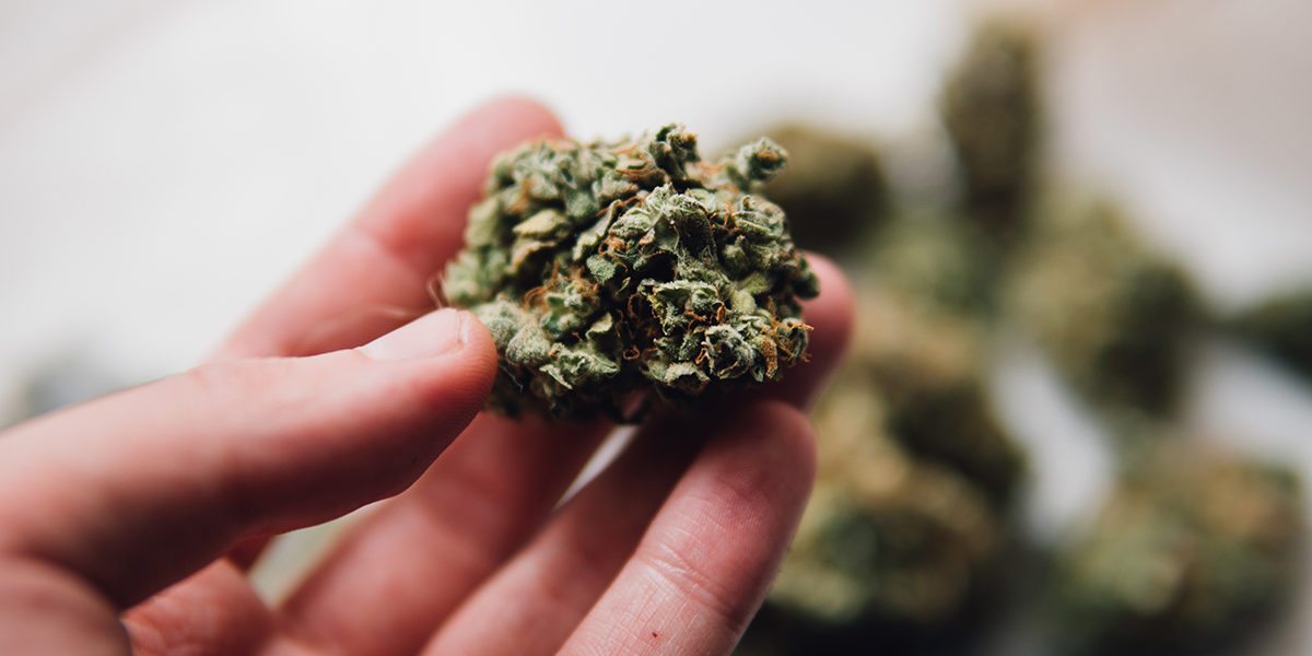 is marijuana a gateway drug and holding marijuana