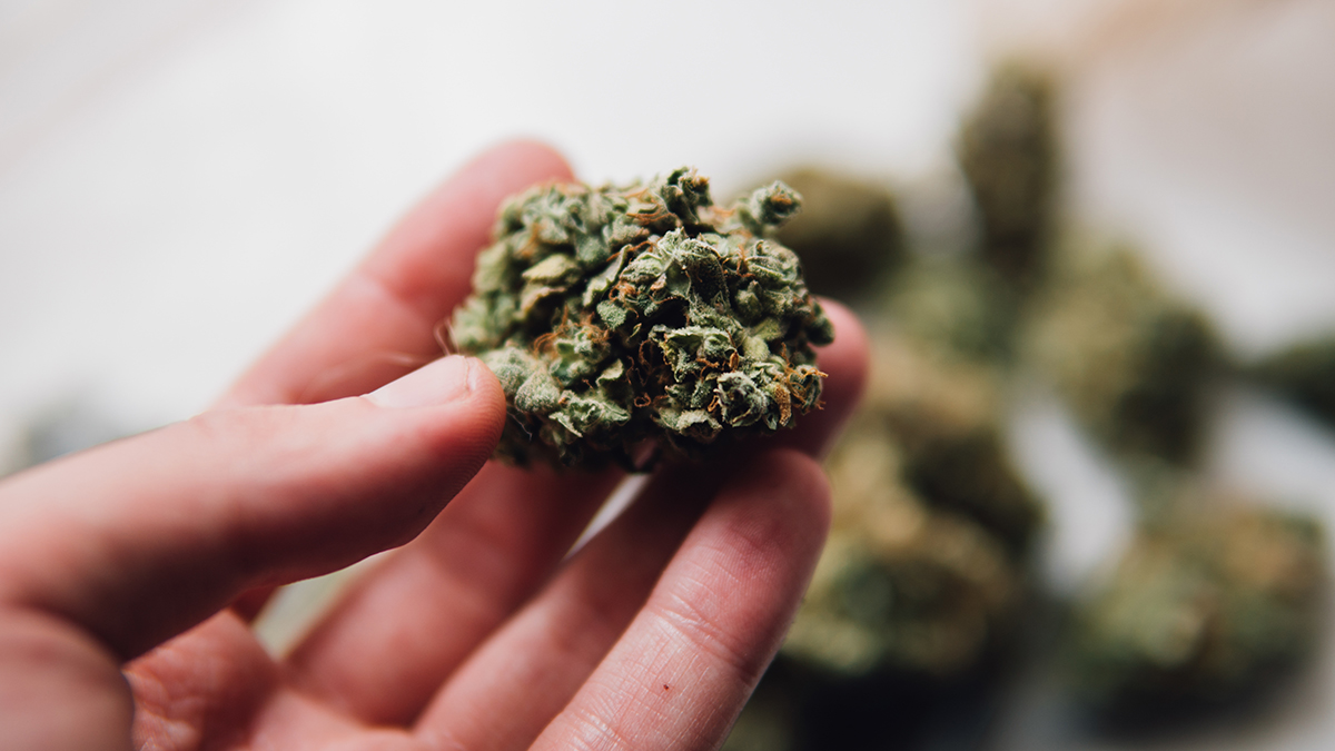 is marijuana a gateway drug and holding marijuana