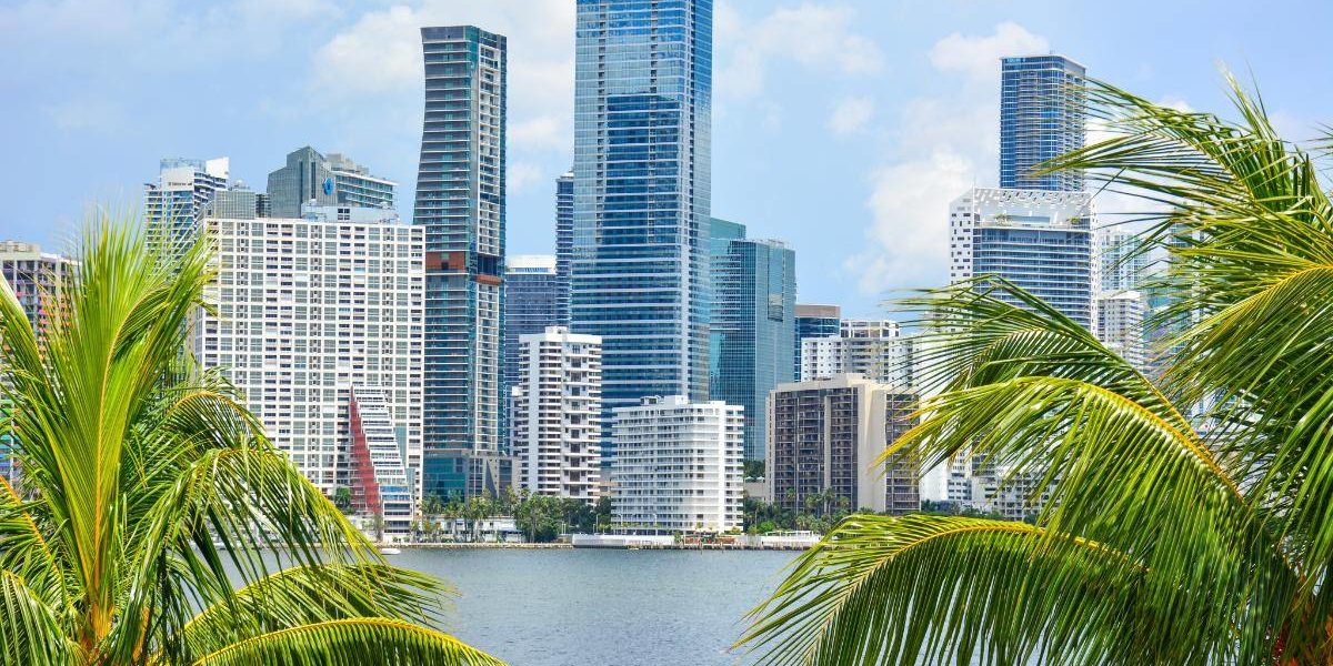 Why Detox in South Florida the skyline of south florida