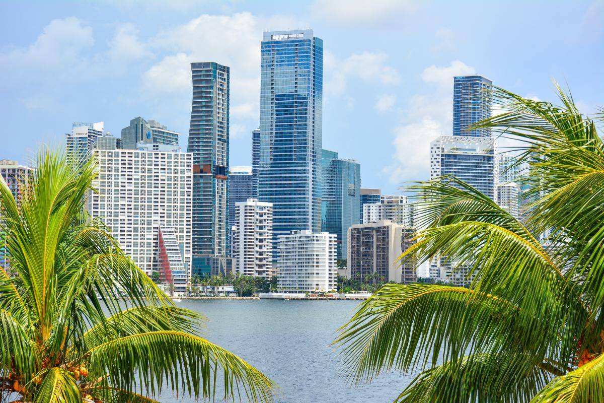 the skyline of south florida