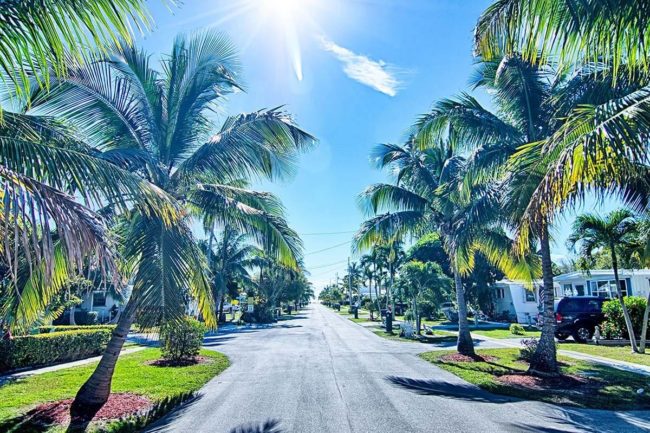 Inpatient Detox Center Available in Jupiter, Florida palm trees and blue skies represents the benefits of inpatient detox in jupiter florida